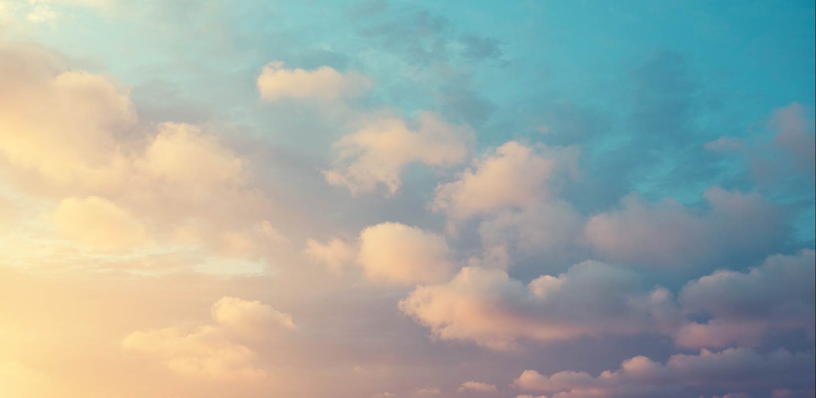 “Yellow Spring werkt op de achtergrond aan je cloudoplossing, zodat je gewoon je ding kunt doen”